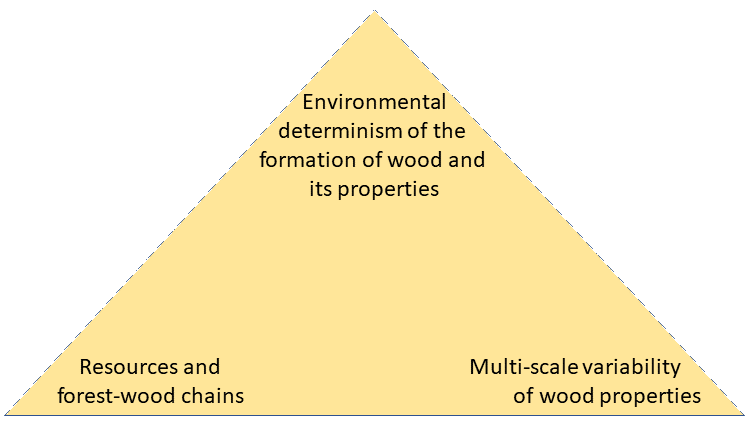 topic wood-stock