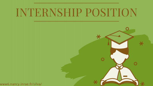 Internship